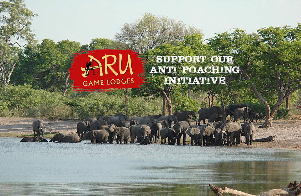 Aru takes the lead in stamping out Elephant and Rhino poaching