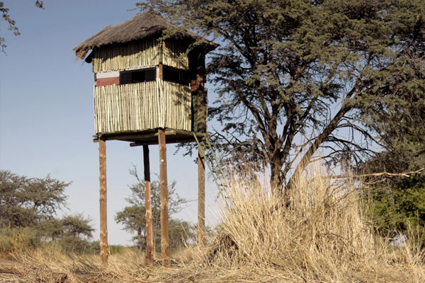 Bow Hunting Hideouts in Namibia